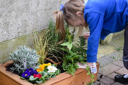 Person touching plants in a sensory garden