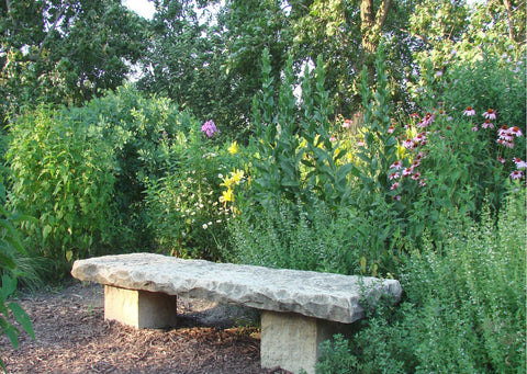Accessible botanical garden with sensory plants and Braille labels