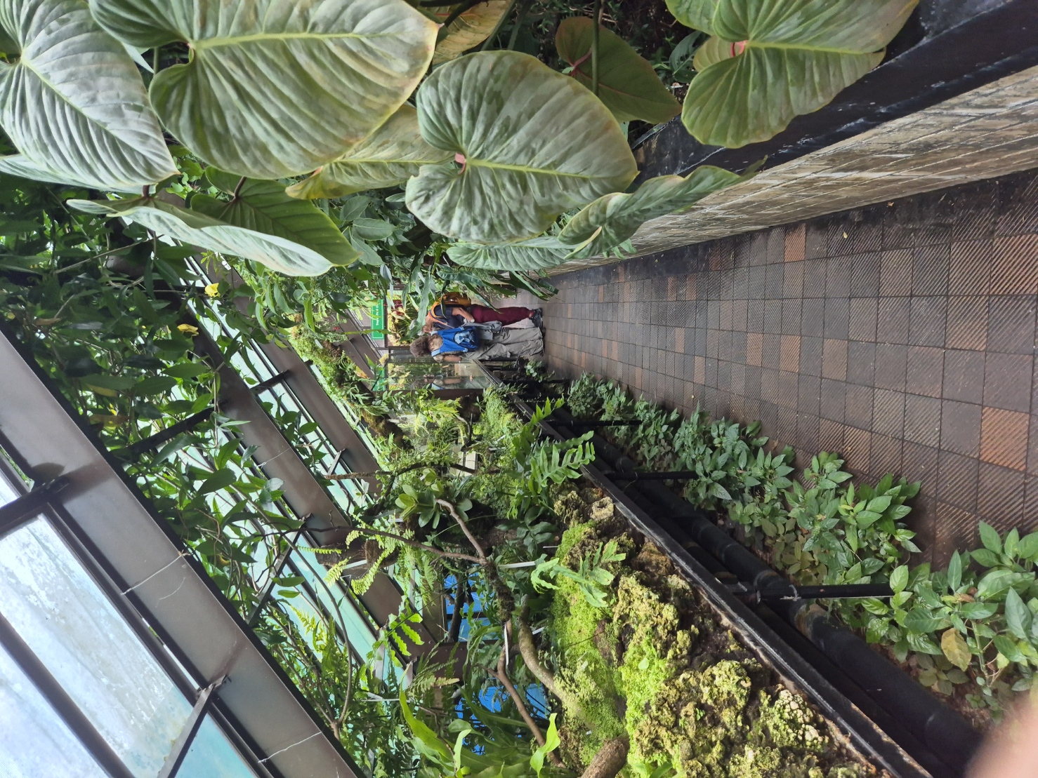 A small visit path